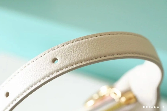 Aaa replica bags LOUIS VUITTON Mini Moon 0723